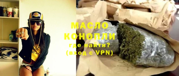 индика Володарск