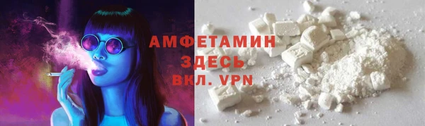 индика Володарск