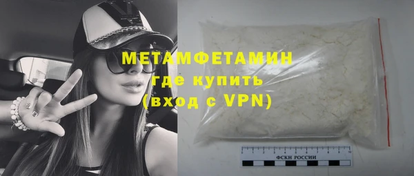 индика Володарск