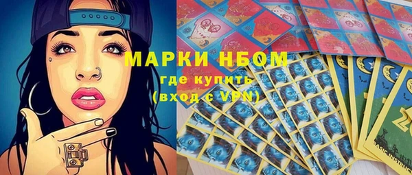 индика Володарск