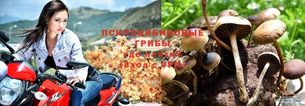 Альфа ПВП Вязники