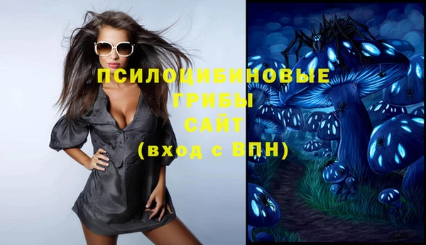 индика Володарск
