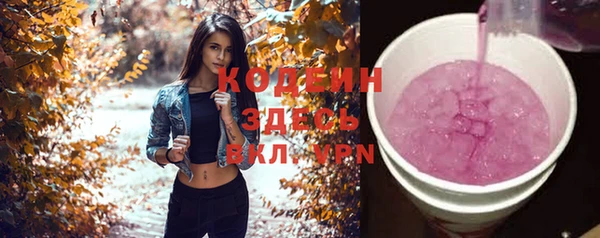 индика Володарск