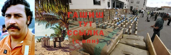 индика Володарск