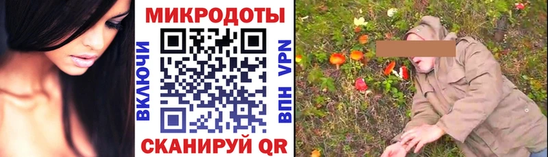 где найти наркотики  Грязовец  Галлюциногенные грибы Cubensis 