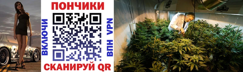 Конопля SATIVA & INDICA  darknet наркотические препараты  kraken как войти  Грязовец  купить закладку 